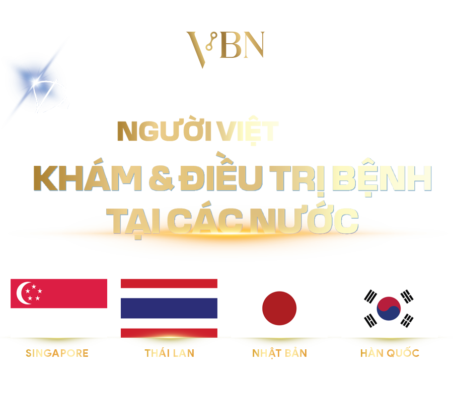 Các đối tác y tế quốc tế của VBN Group tại Thái Lan, Nhật Bản, Singapore, Hàn Quốc, dịch vụ hỗ trợ người việt có nhu cầu Khám và chữa bệnh tại Nước Ngoài VBNGroup