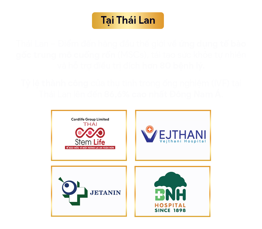 Các đối tác y tế quốc tế của VBN Group tại Thái Lan, Nhật Bản, Singapore, Hàn Quốc, dịch vụ hỗ trợ người việt có nhu cầu Khám và chữa bệnh tại Nước Ngoài VBNGroup